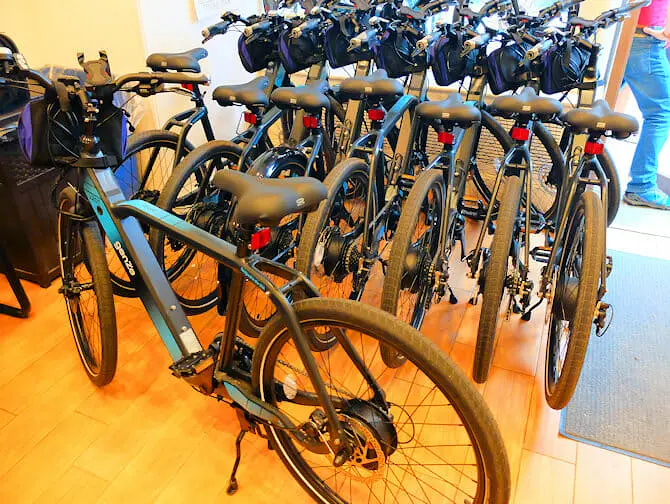 Viajando para Nova York com deficiência - Bike Elétrica