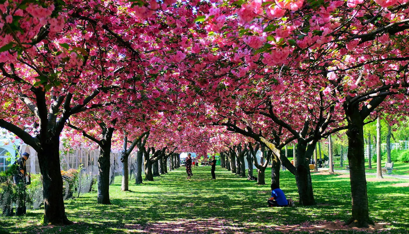 Clima em Nova York - Primavera