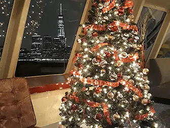 Cruzeiros na Véspera de Natal em Nova York - Árvore de Natal