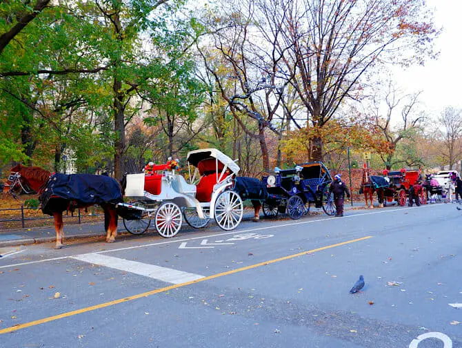 Passeio de Carruagem pelo Central Park - Carruagem