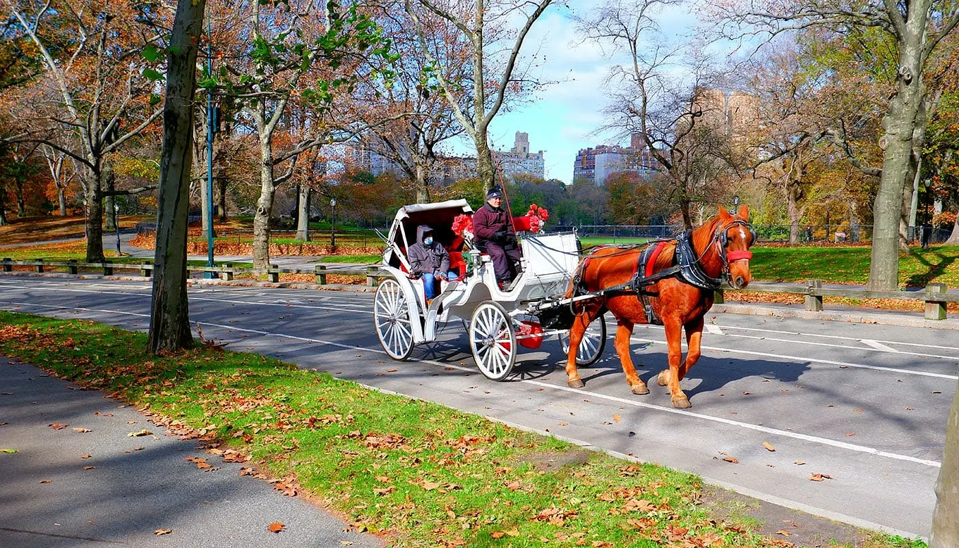 Passeio de carruagem no Central Park - Carruagens 