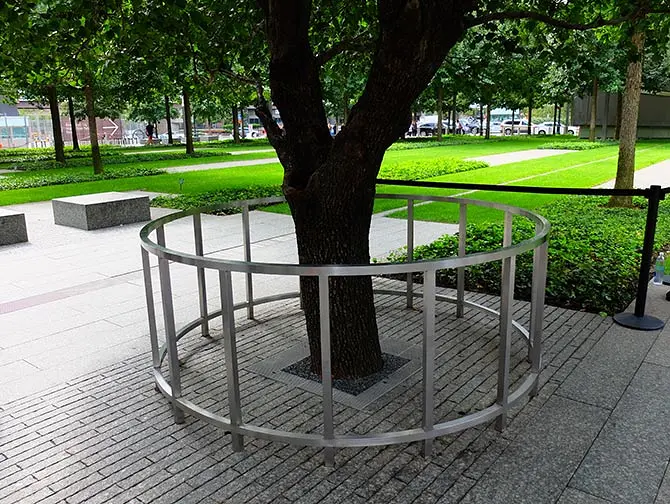 Memorial 11 de Setembro em Nova York - Árvore Sobrevivente