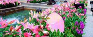 Páscoa em Nova York