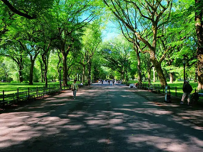 Labor Day en Nova York - Central Park