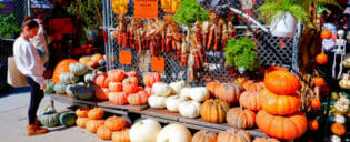 Halloween em Nova York