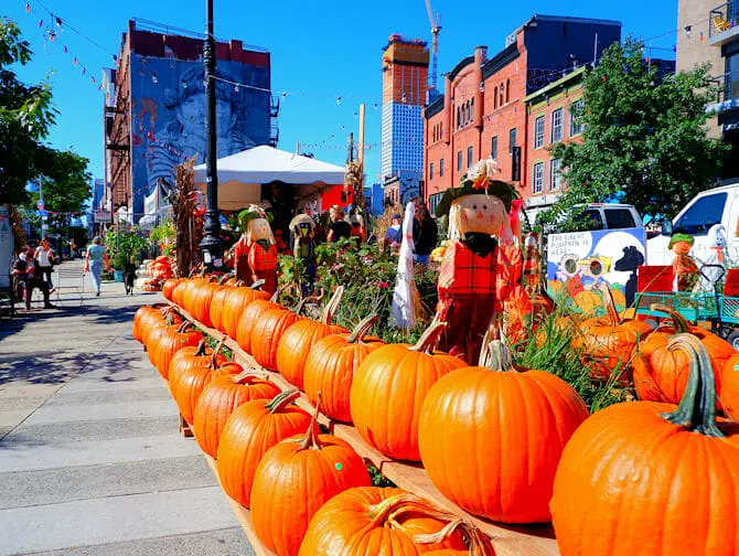 Halloween em Nova York - abóboras