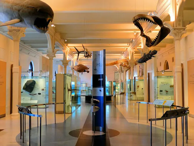 Museu Americano de História Natural em Nova York - Empty Tour