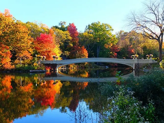 Excursão a pé pelas locações de filmes no Central Park - Bow Bridge