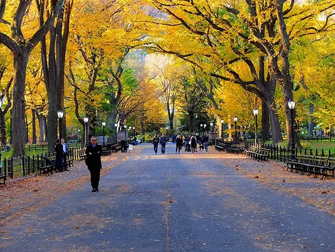 Excursão a pé pelas locações de filmes no Central Park - The Mall