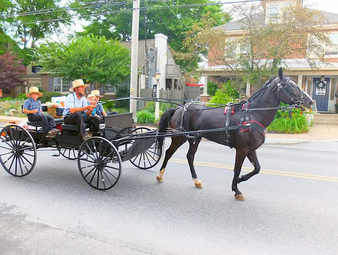 Passeio de Nova York para a Filadélfia e Amish Country - Visite os amish