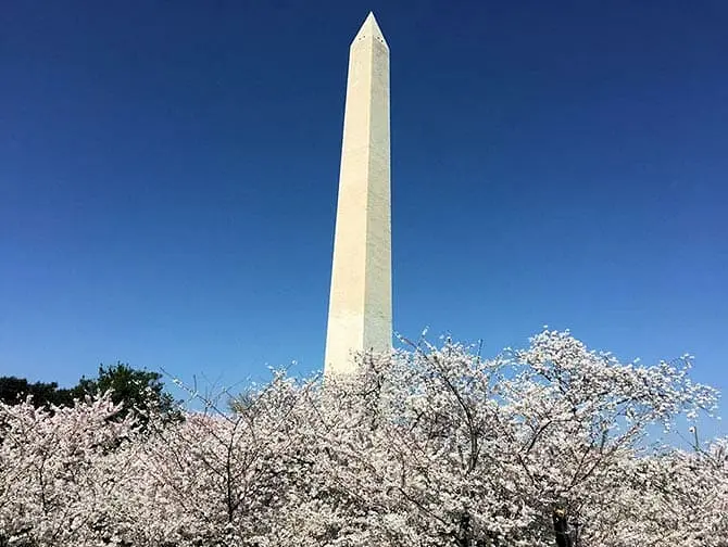 Passeio de ônibus para Washington - Monumento