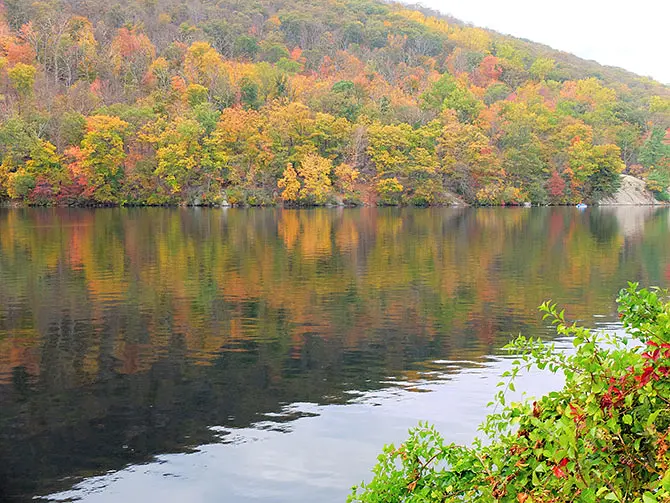 Passeio de Nova York para Bear Mountain - Cores de Outono