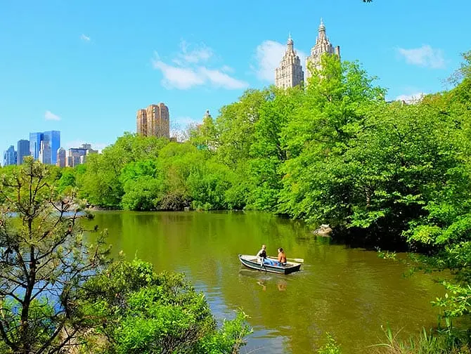 Aluguel de Barco a Remo no Central Park - Casal Remando