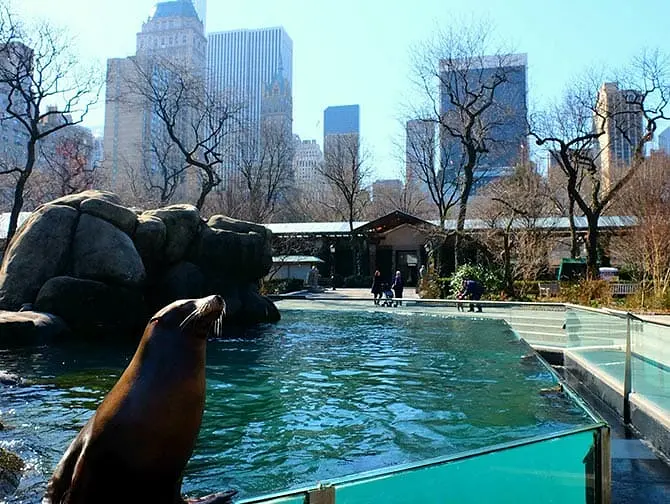Ingressos para o Central Park Zoo