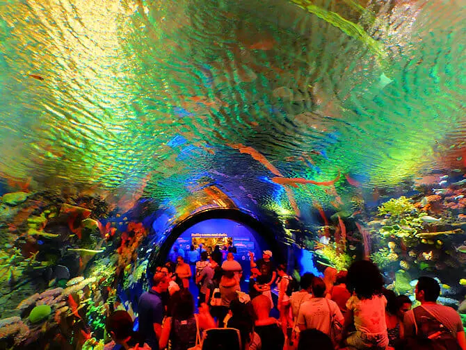 New York Aquarium - Recife de Corais