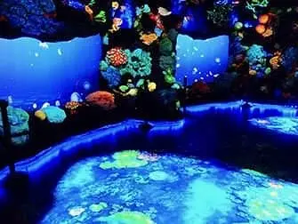 National Geographic Encounter Ocean Odyssey - Profundezas do Oceano