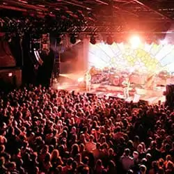 Shows