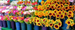 Dia das Mães em Nova York