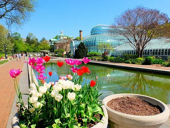 Jardins bot&acirc;nicos em Nova York - Brooklyn Botanic Garden