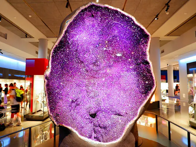 Museu Americano de História Natural em Nova York - Exposição