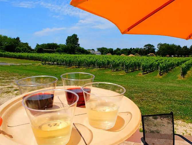 Tour pelas adegas de Nova York - Prova de Vinho