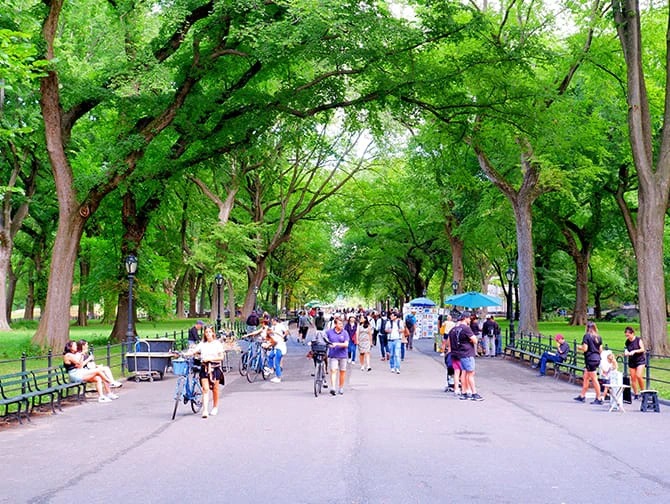 Rotas de caminhada em Nova York - Central Park