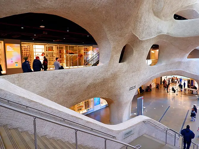 Museu Americano de História Natural em Nova York- Extensão