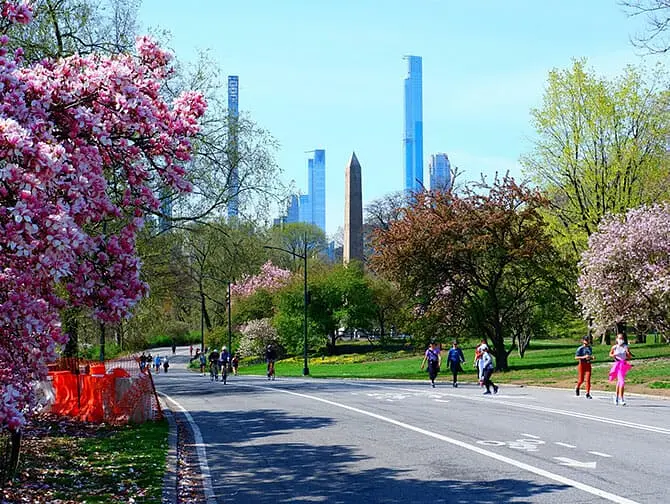 Passe turístico para Nova York - Bicicleta
