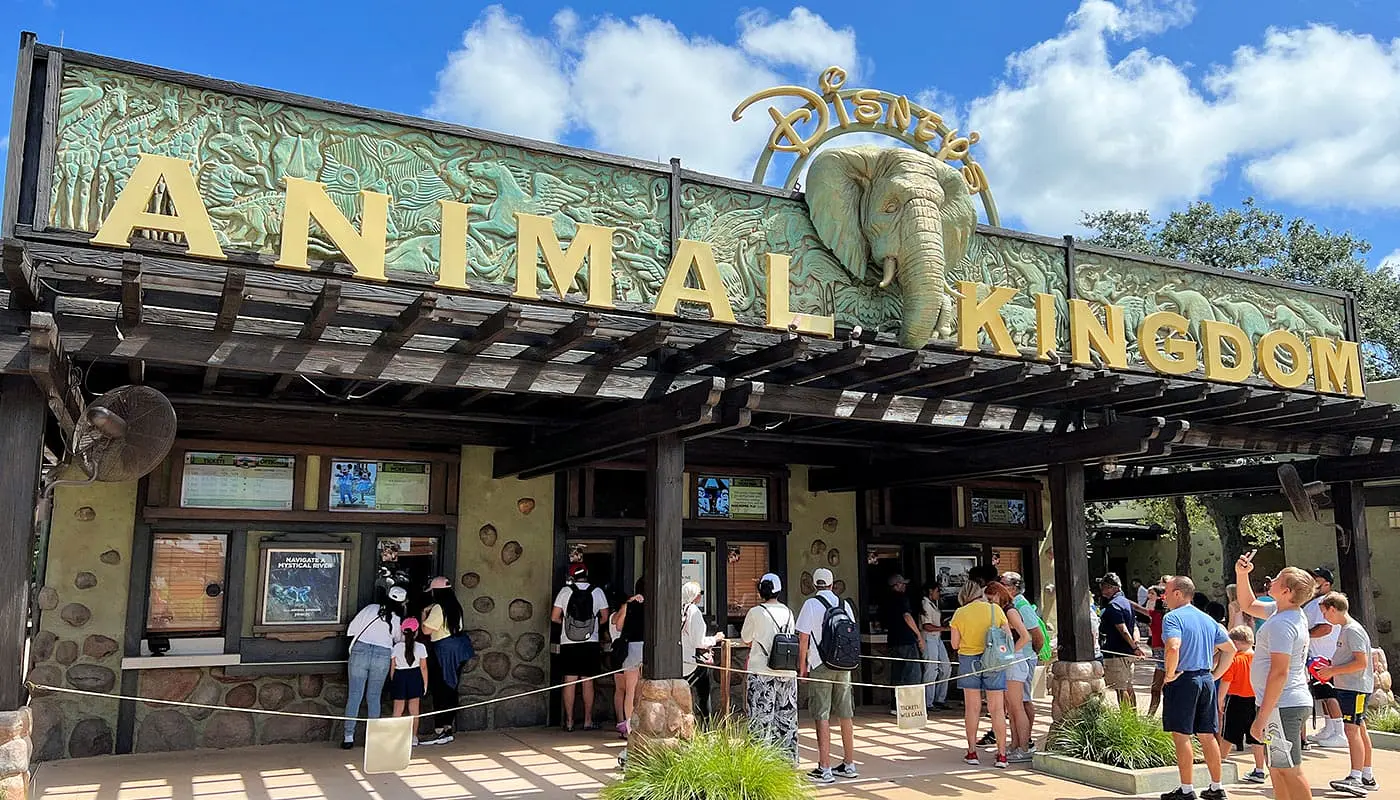Combine Nova York e Orlando - Disney's Animal Kingdom