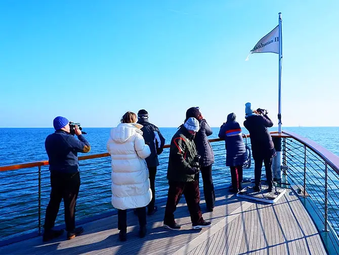 Passeio de barco para observação de focas e aves em Nova York