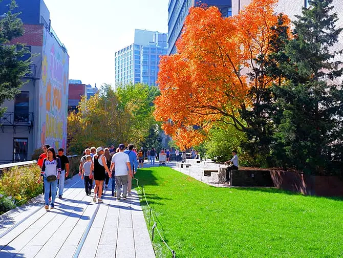 High Line em Nova York - Natureza
