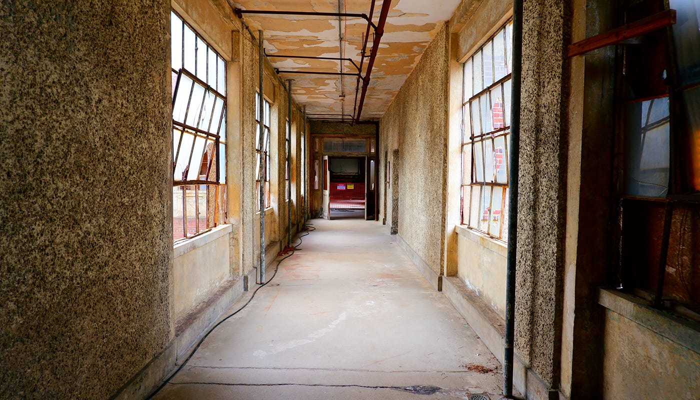 Tour Hard Hat de Ellis Island em Nova York - História Única