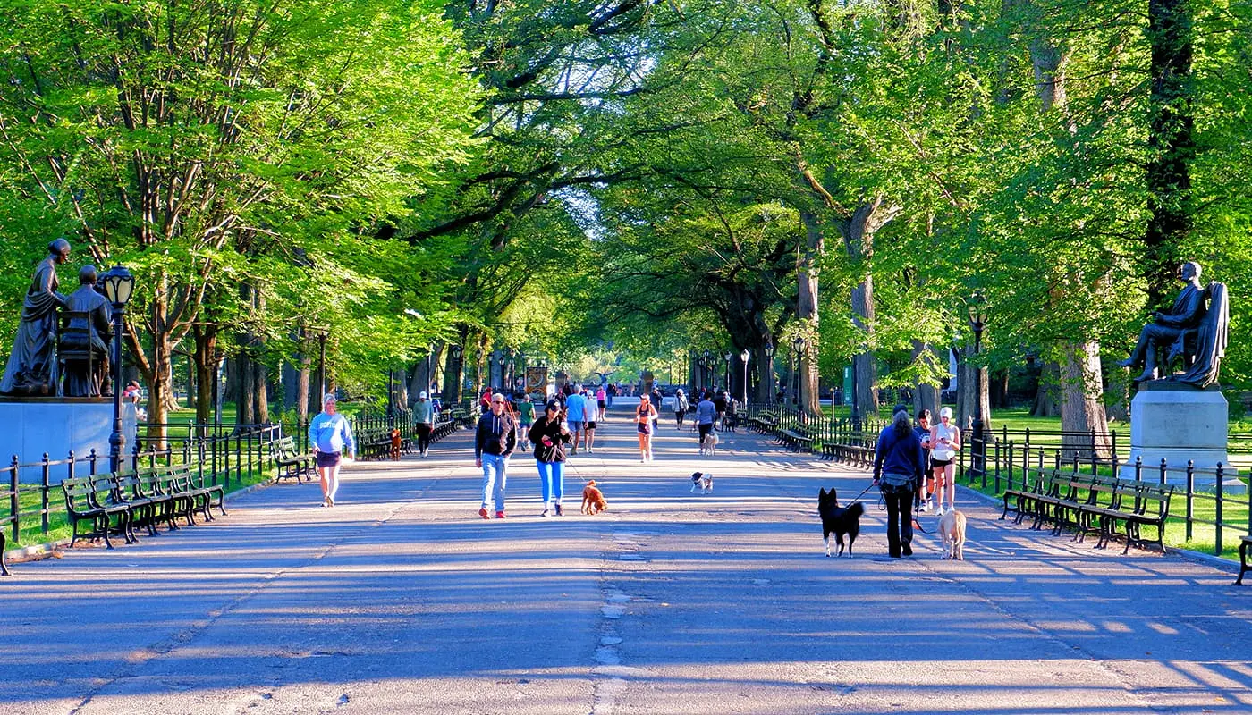 Nova-iorquinos – Pessoas que vivem em Nova York