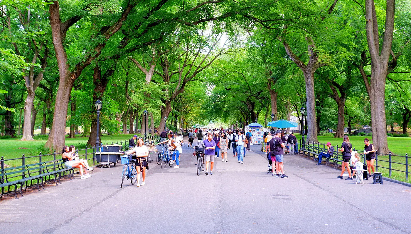 Roteiro em Nova York de 4 dias - Explore o Central Park de bicicleta ou a pé