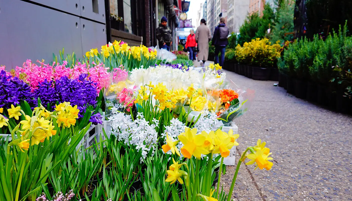 Hotéis em Midtown Manhattan - Cambria Hotel New York Chelsea