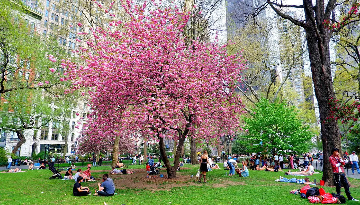 Madison Square Park em Nova York - Local onde os nova-iorquinos relaxam