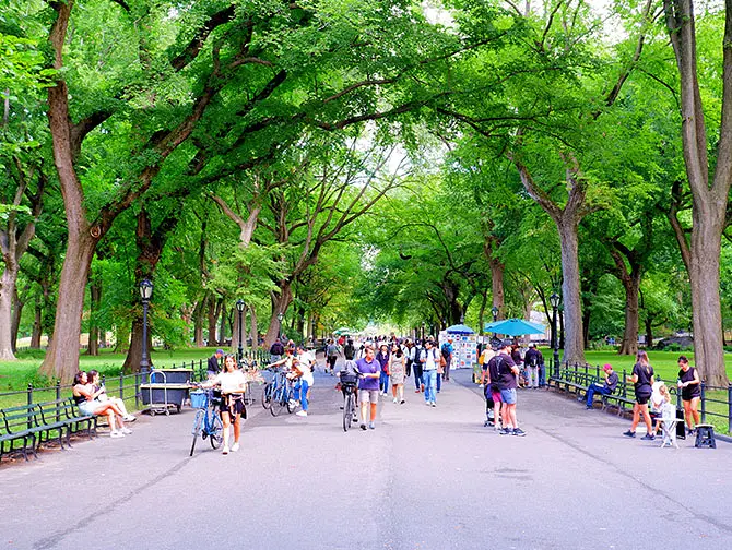 Roteiro a pé Central Park em Nova York
